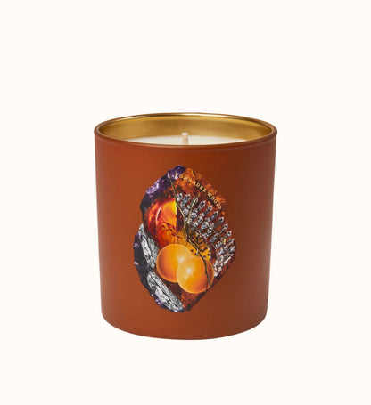 Glowza Smoky Birch Coconut and Soy Wax Scented Candle 7.5oz