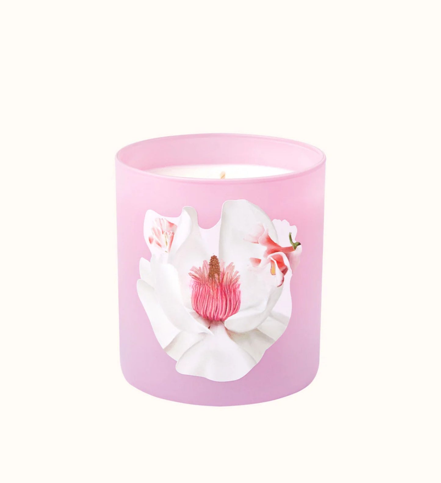 Glowza Magnolia Coconut and Soy Wax Scented Candle 7.5oz